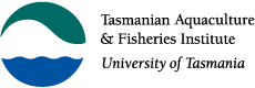 TAFI logo